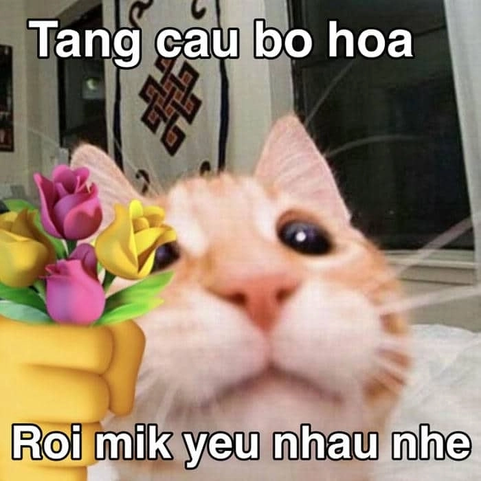 Nụ hôn meme hài hước, thêm chút tình cảm cho ngày mới.