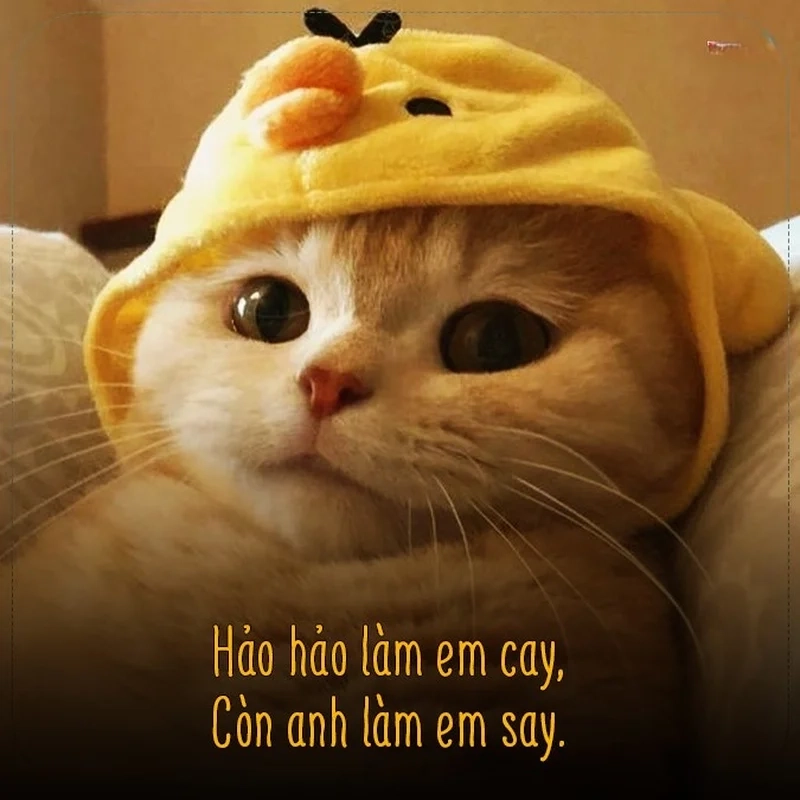 I love meme sáng tạo, lan tỏa niềm vui.