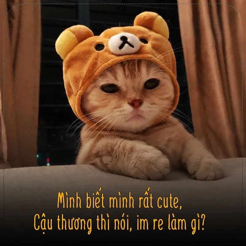 I love you meme cute siêu đáng yêu, dễ dàng gây ấn tượng.