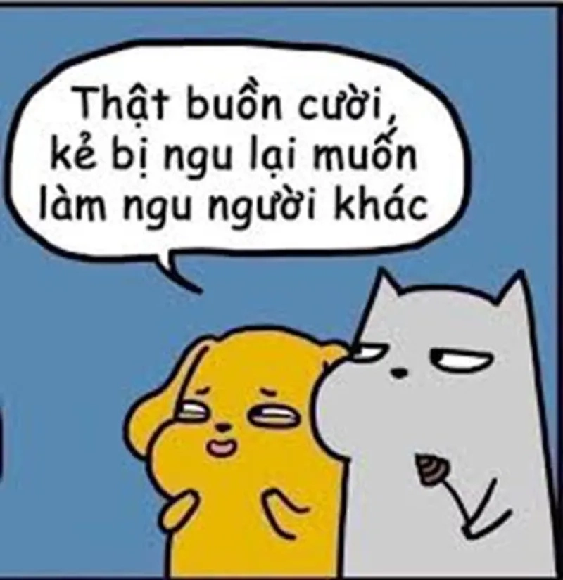 Meme nguoi nhen đưa bạn đến một thế giới hài hước với những tình huống ngớ ngẩn.