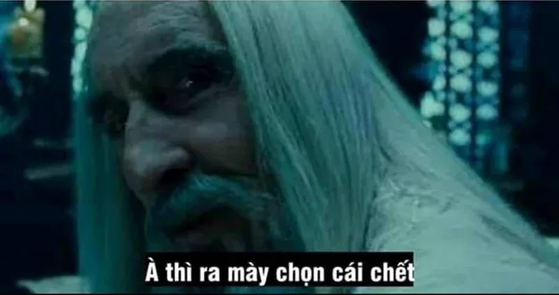 Chúc ngu ngon meme mang đến những giây phút cười sảng khoái với sự ngớ ngẩn đầy lôi cuốn.