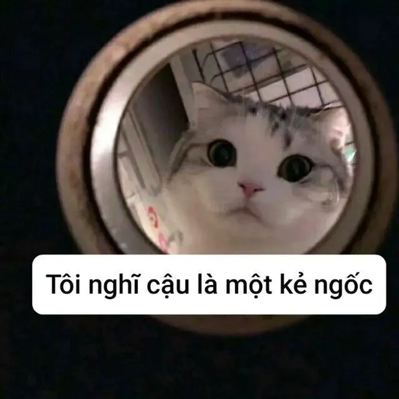 Nguồn gốc meme hết cứu là nơi bạn sẽ tìm thấy những hình ảnh và tình huống 