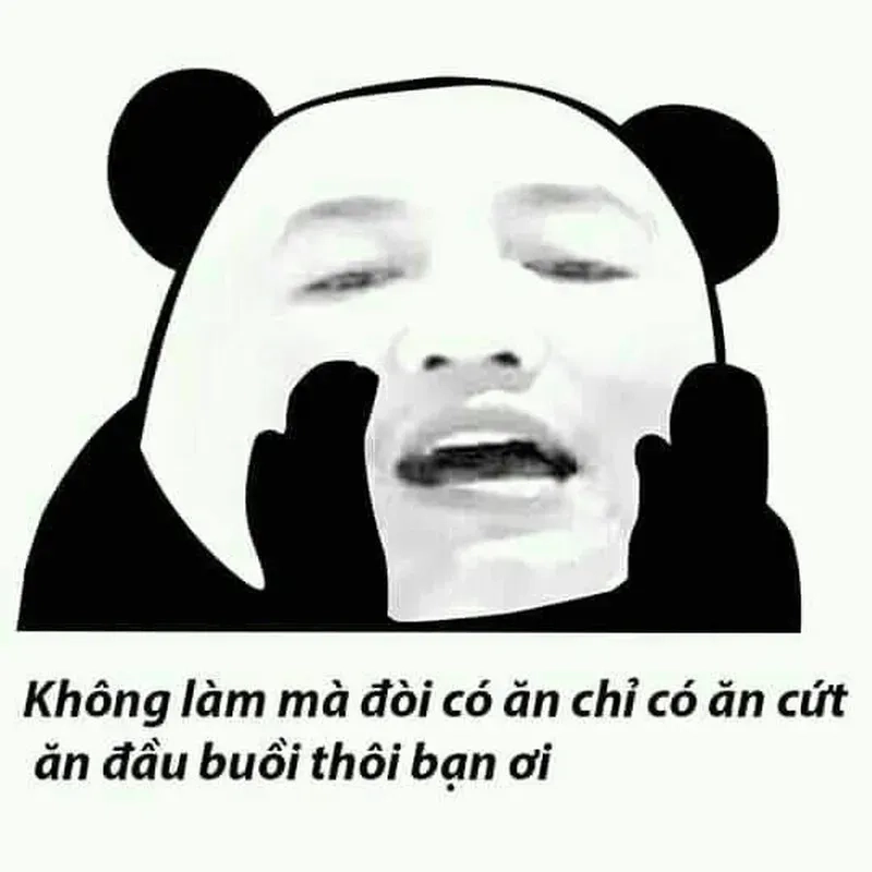 Meme nguoi khiến bạn không thể không cười với những tình huống 