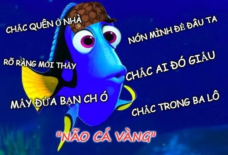 Meme ngu ngục mang đến những giây phút giải trí với những hình ảnh đầy 