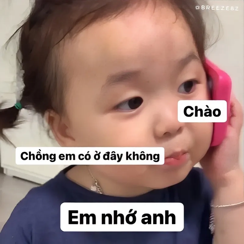 Meme mèo nhớ người yêu siêu dễ thương, làm tan chảy mọi trái tim.