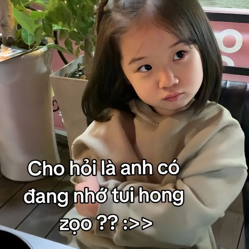 Ảnh meme nhớ người yêu thú vị, khiến ai cũng phải mỉm cười.