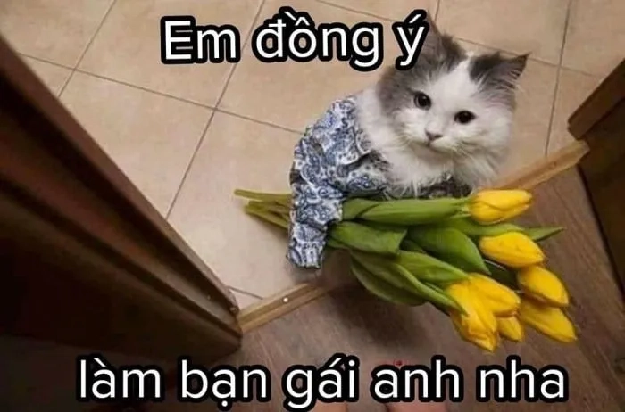 Meme tặng tim ngộ nghĩnh, lan tỏa cảm giác hạnh phúc.