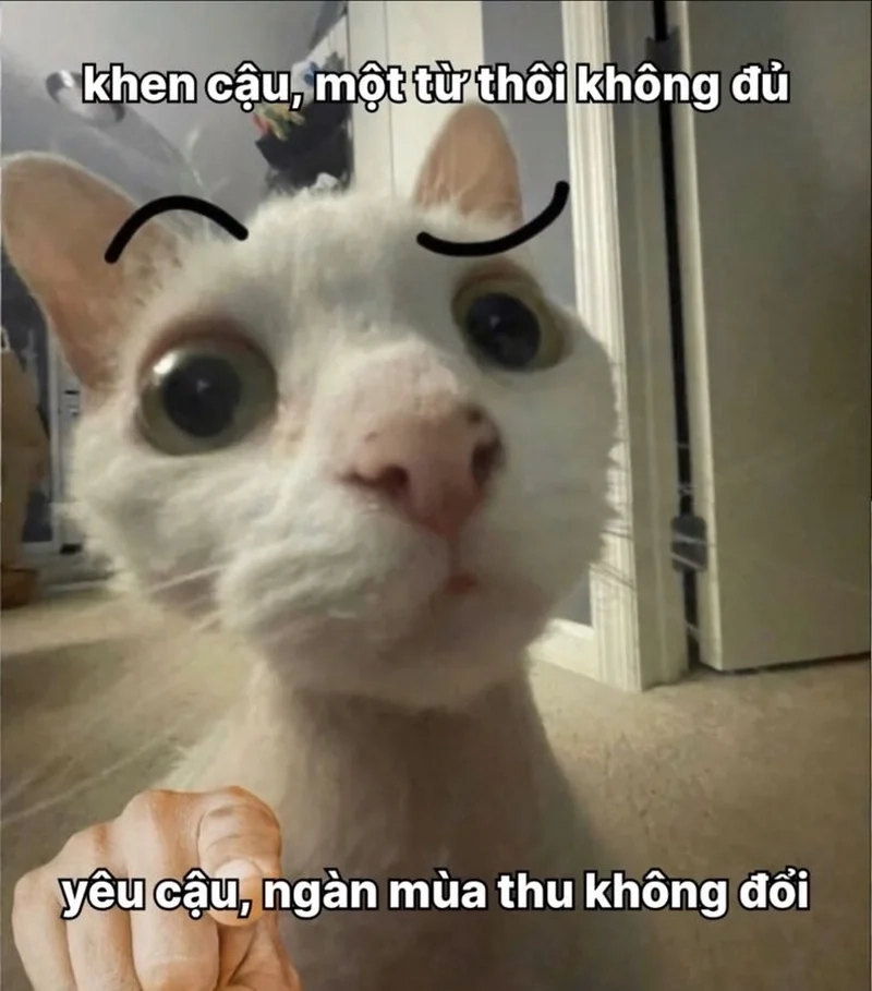 Love you most meme cực kỳ ngọt ngào và dễ thương.