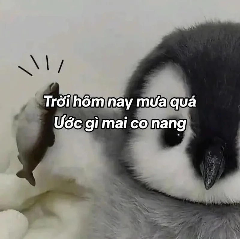 I love you son meme ý nghĩa, thích hợp thể hiện tình cảm.