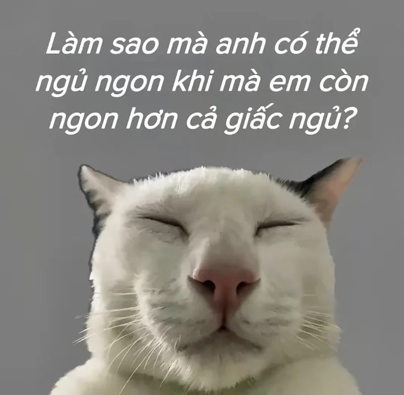 Kitty i love you meme ngộ nghĩnh, đầy đáng yêu.