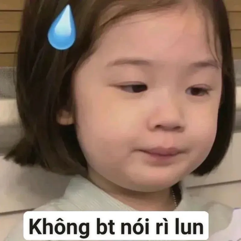 Những bức ảnh mèo vô tri meme ngớ ngẩn và dễ thương đang trở thành xu hướng trên mạng xã hội.