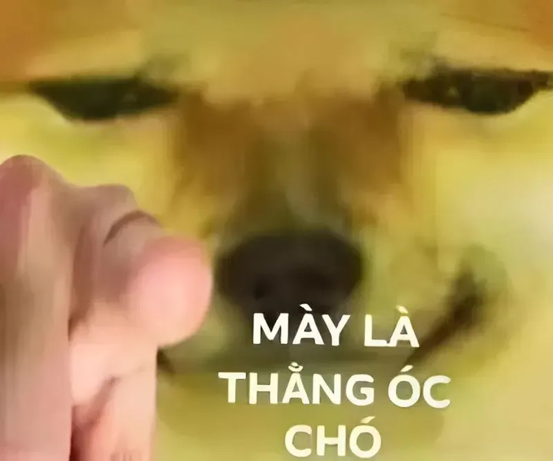 Mặt nguy hiểm meme sẽ làm bạn bất ngờ vì sự ngớ ngẩn trong những tình huống tưởng như nghiêm trọng.