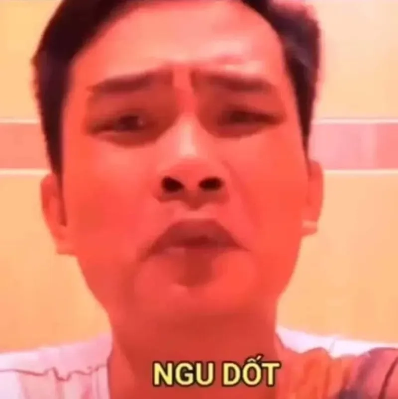 Ảnh meme ngu là những hình ảnh 