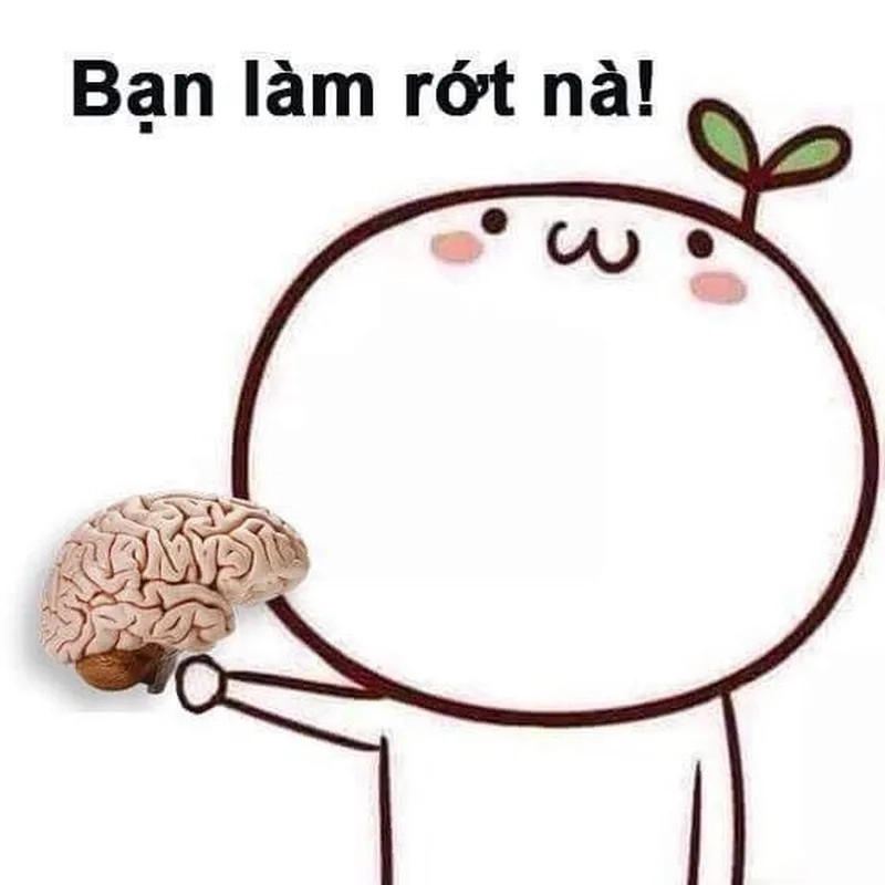 Meme mặt ngu: Những biểu cảm ngớ ngẩn khiến bạn không thể dừng cười được!