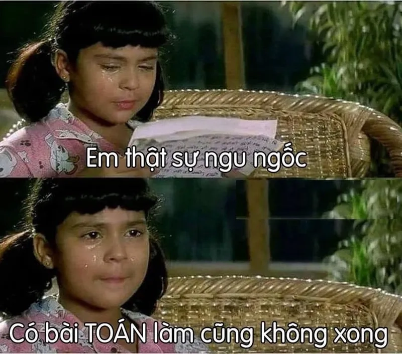 Meme phiếu bé ngu làm cho bạn không thể ngừng cười vì sự vô lý nhưng lại quá thú vị.