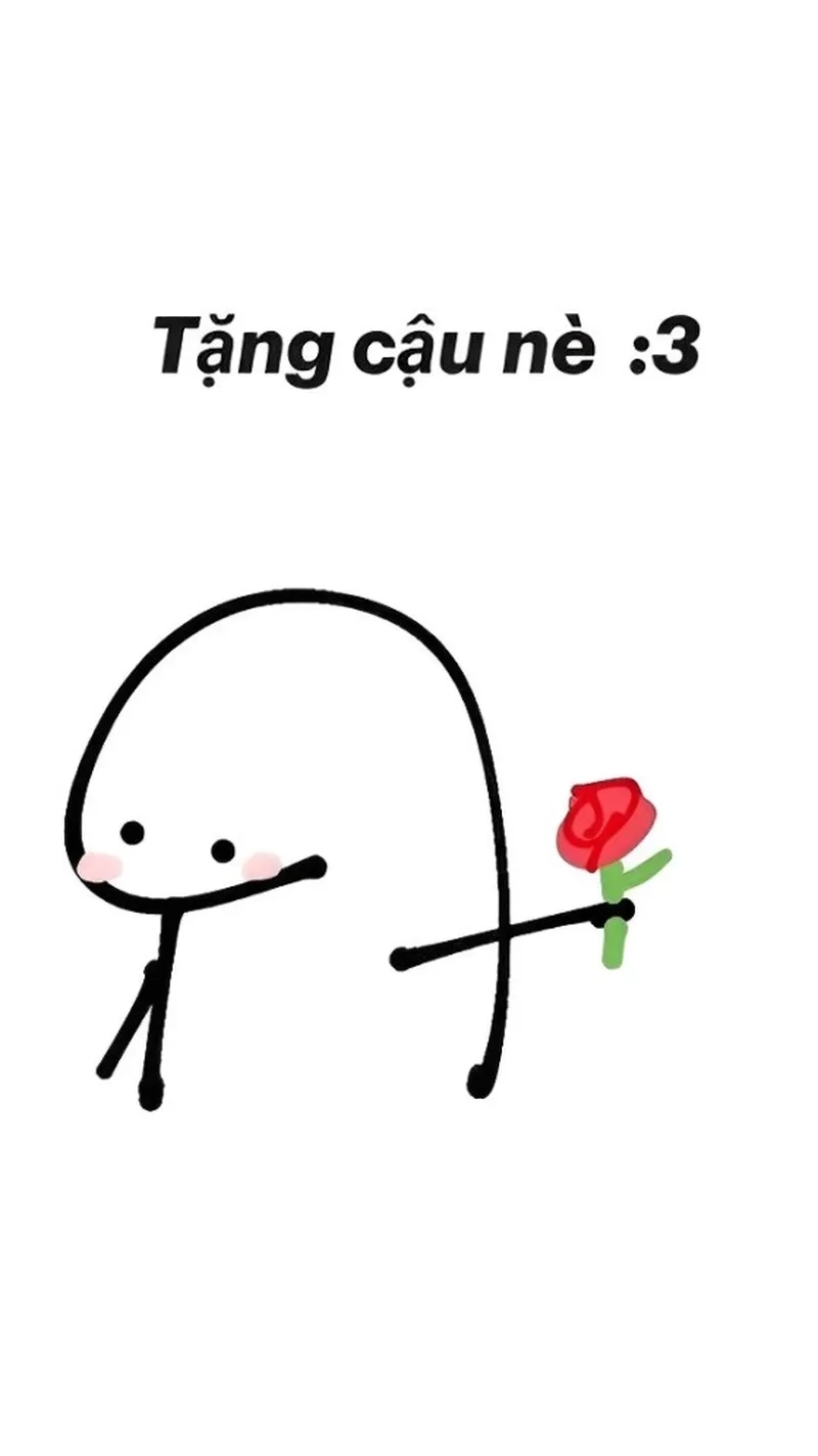 Meme mèo tặng quà đem đến sự dễ thương và vui nhộn trong mỗi món quà từ mèo!