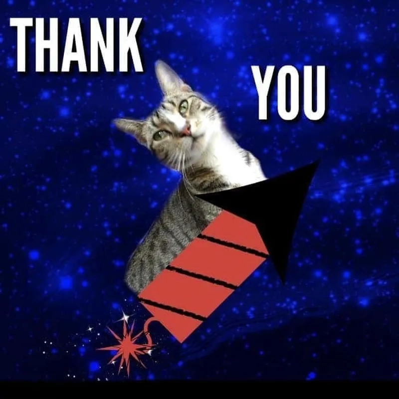 Thank you meme cảm ơn là cách tuyệt vời để nói lời cảm ơn đầy vui nhộn!