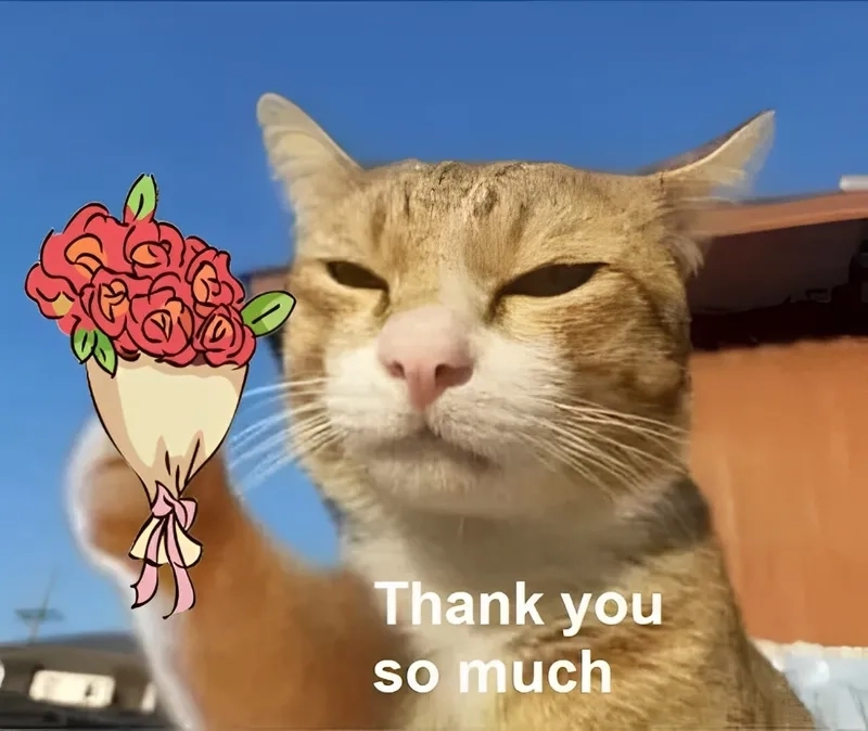 Thank you dear meme là cách bày tỏ sự yêu thương và cảm ơn vô cùng ngọt ngào!