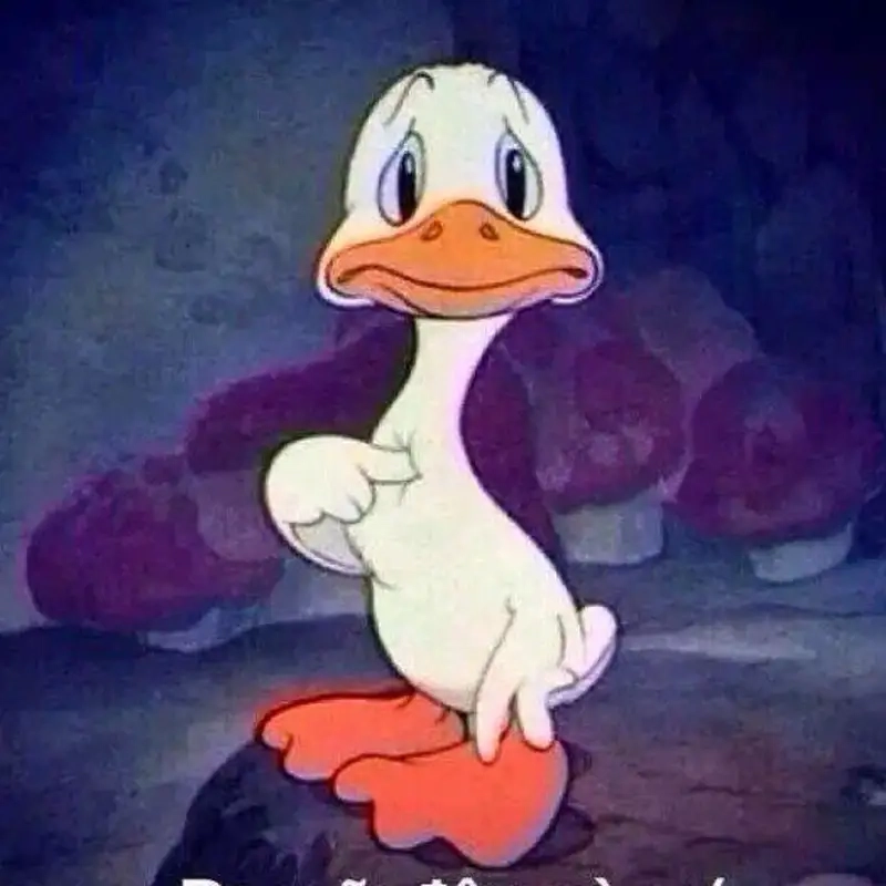 meme mèo đau ở đây này siêu hài hước