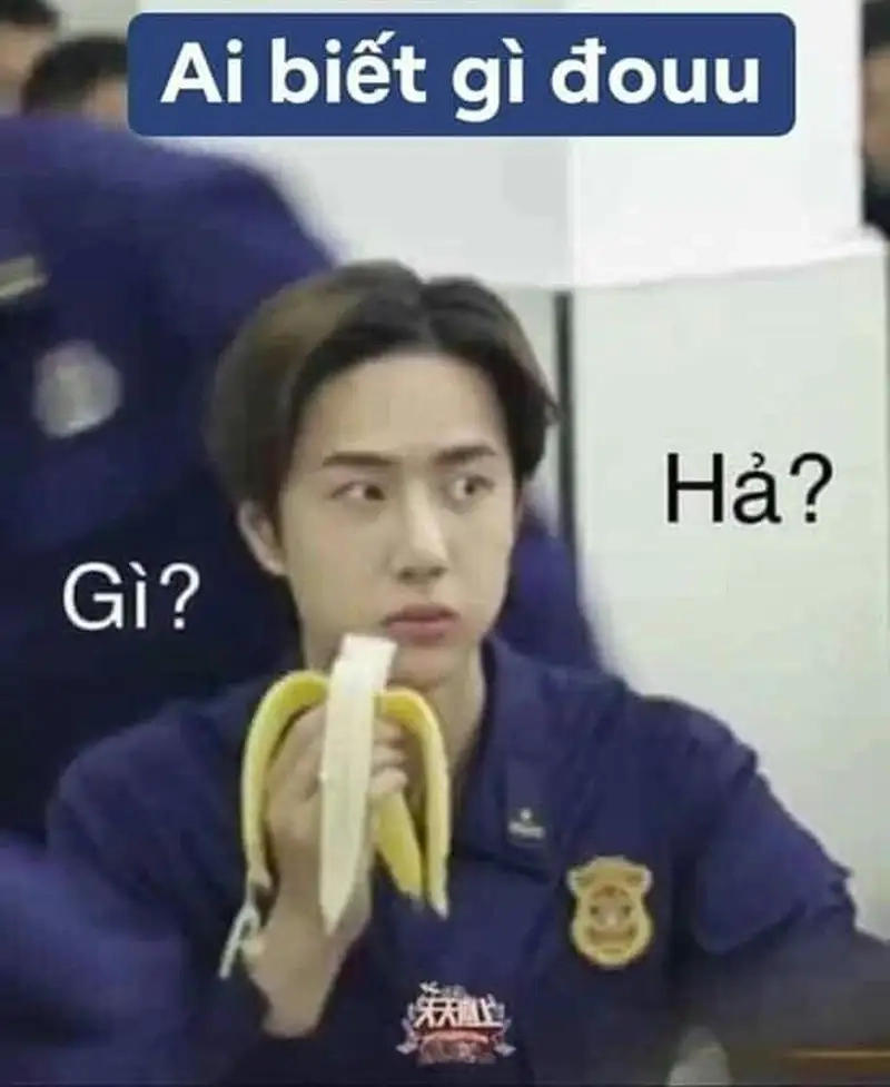 Meme ai biết đâu khiến dân tình cười nghiêng ngả mỗi ngày