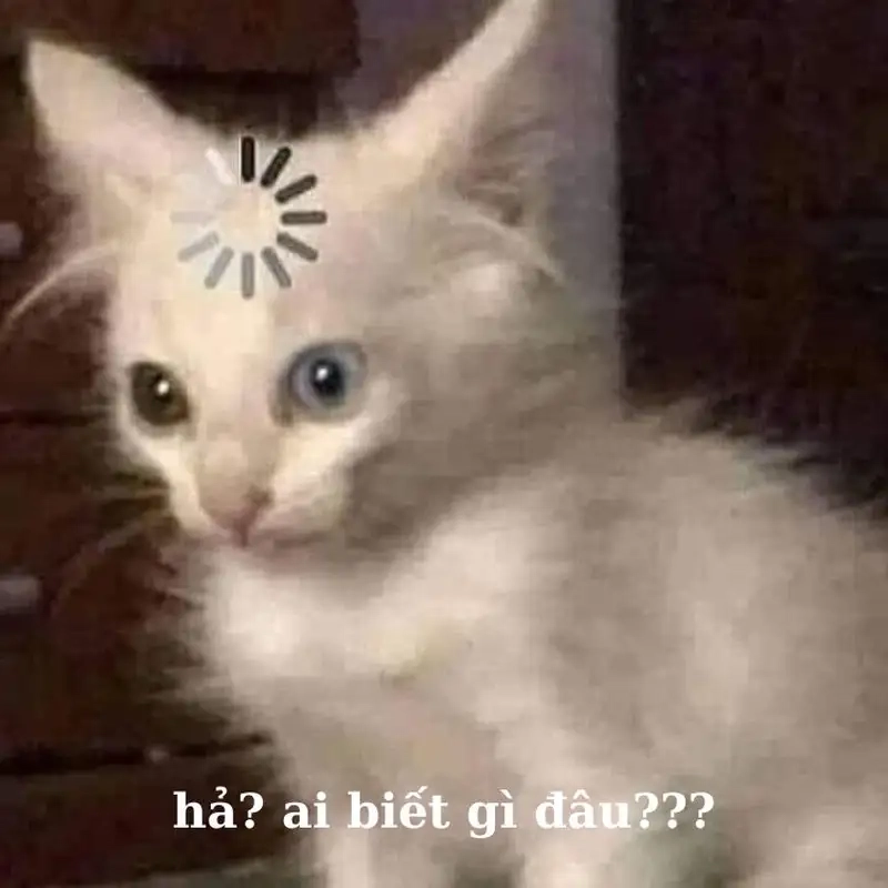 Meme không biết gì hết khiến mọi người nhịn cười không nổi