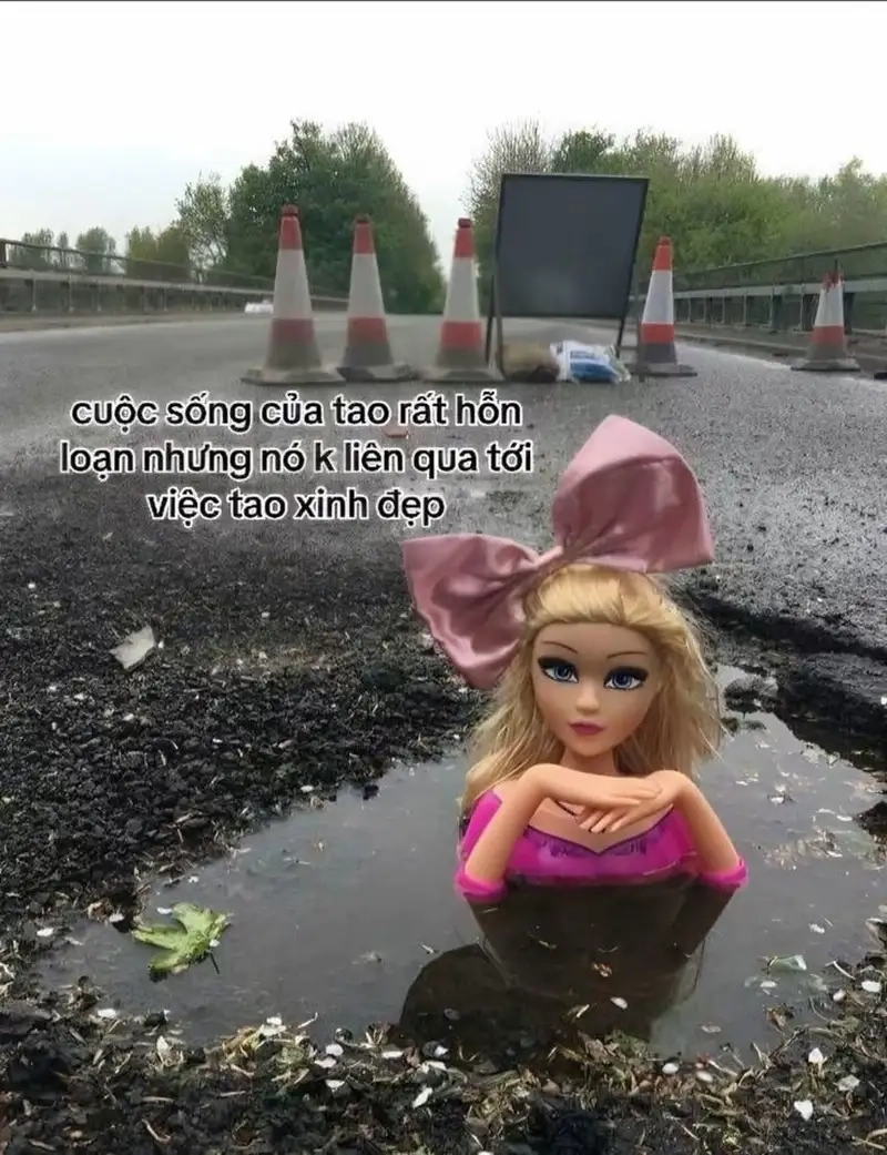 Bộ sưu tập đặc sắc cùng ảnh meme công chúa