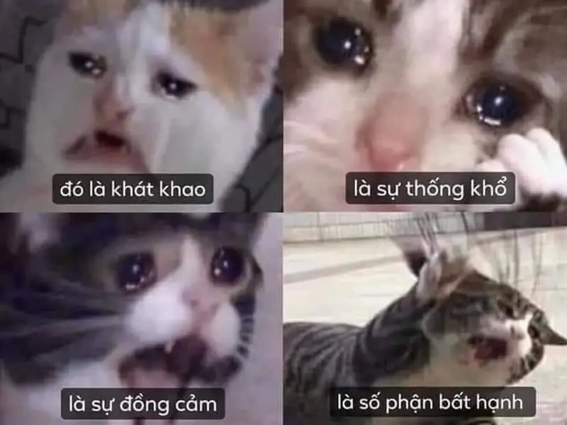 Miễn là mày đau khổ meme phản ánh cảm giác tuyệt vọng