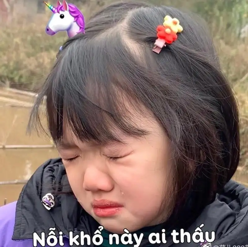 Khổ meme mang lại cảm giác đau lòng không thể tả