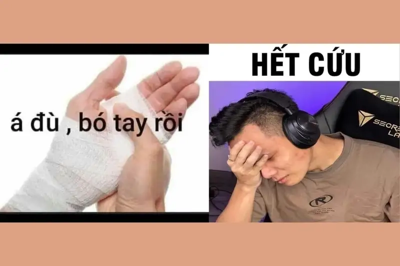 Xem ngay hết cứu meme hài hước đang gây bão trên mạng