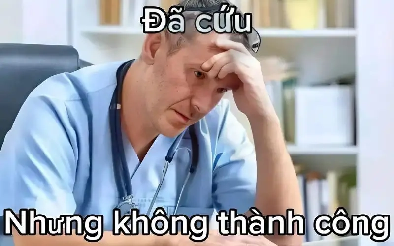 Khám phá ngay meme hết cứu nổi cực hài hước và thú vị
