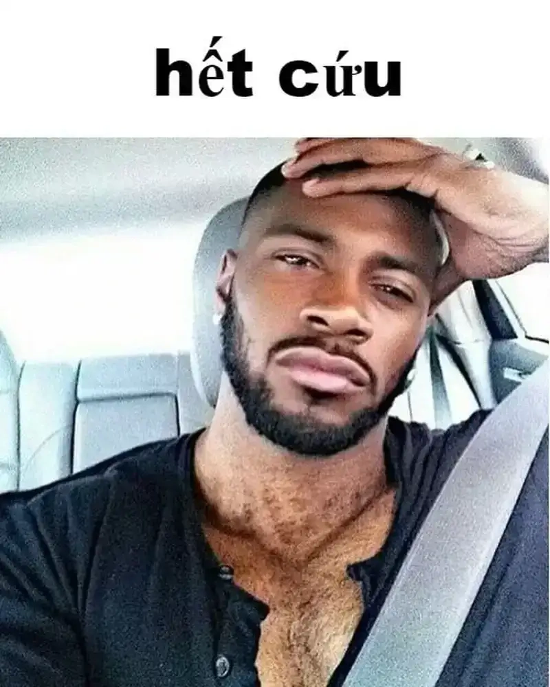 Tận hưởng trọn bộ hết cứu nổi meme độc đáo và siêu hài