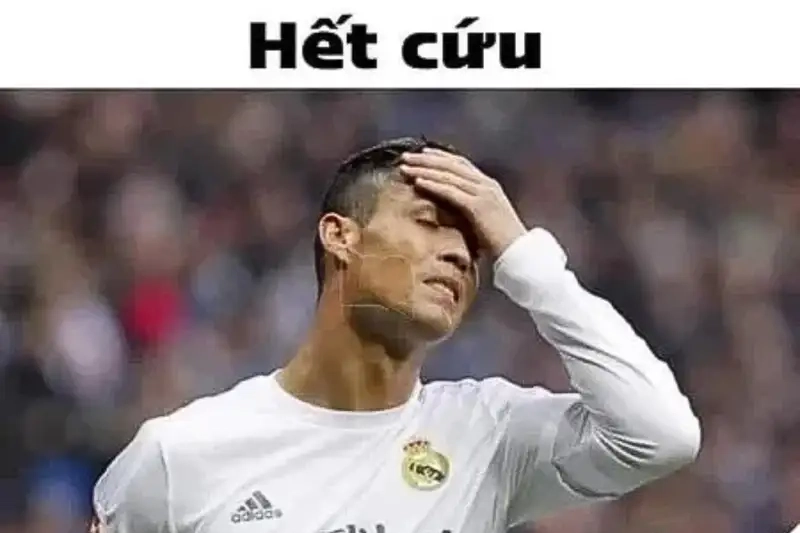 Khám phá ngay hết cứu rồi meme vui nhộn khiến bạn cười sảng khoái