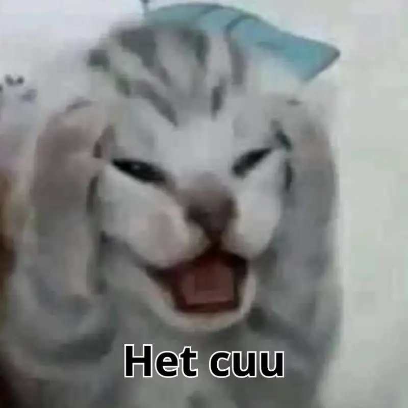 Khám phá meme ngon hết cứu khiến dân mạng không nhịn được cười