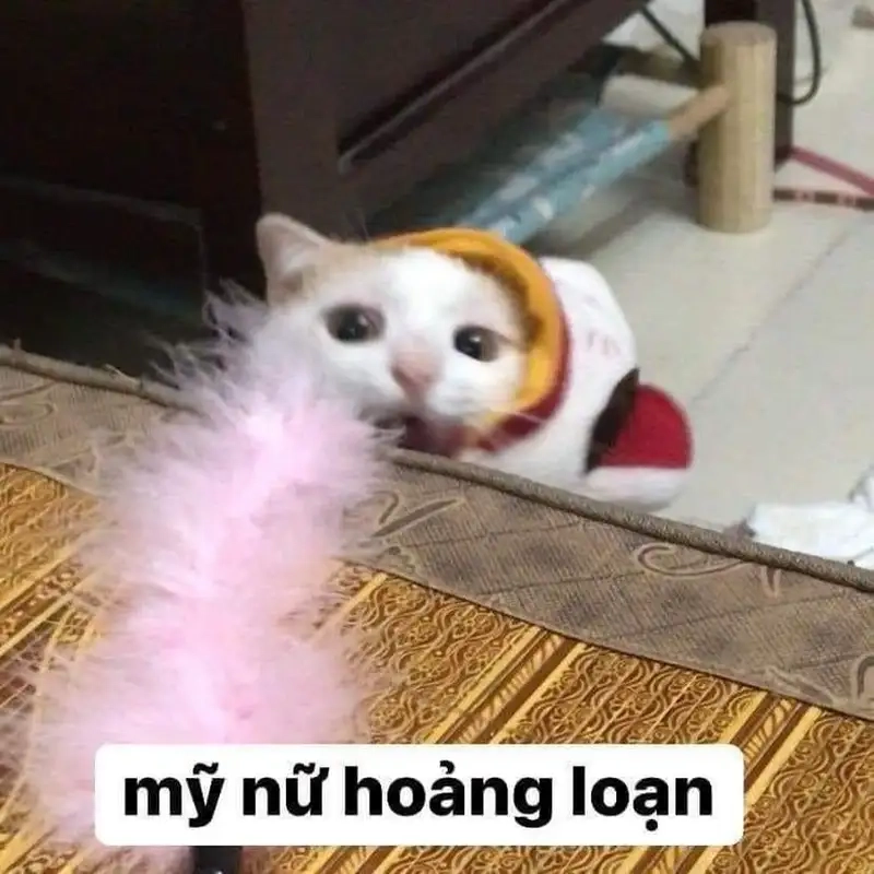Thư giãn cùng bộ meme hoảng sợ cực hài