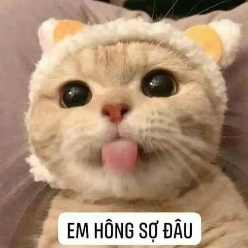 Meme anh da đen hoảng hốt viral khắp mạng xã hội
