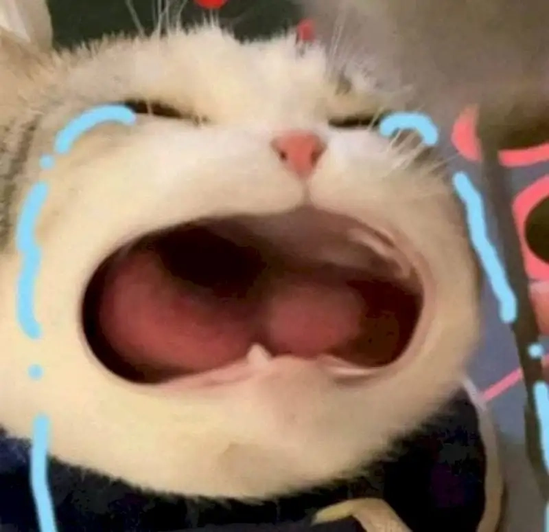 Ảnh hốt hoảng meme lan truyền chóng mặt