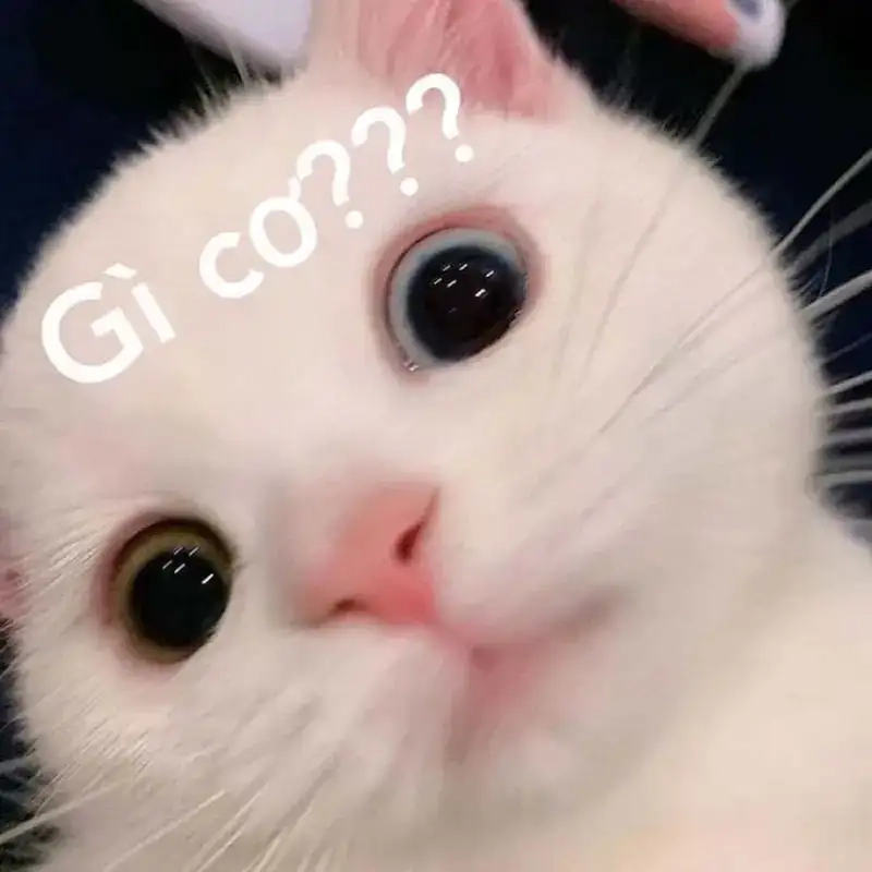 Meme não to xem xong chỉ muốn ôm đầu suy nghĩ tiếp