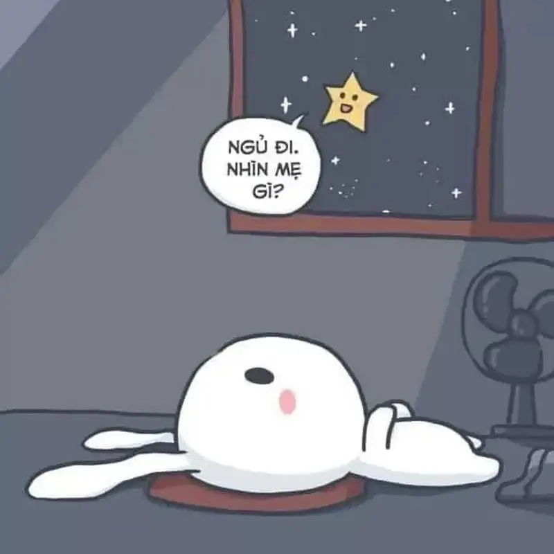 Thả meme mất ngủ để cười xuyên đêm