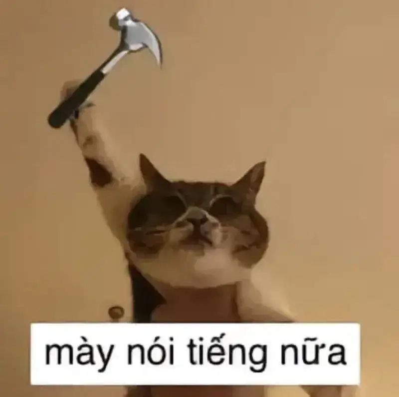 Meme mèo đánh răng thú vị làm mọi người thích thú