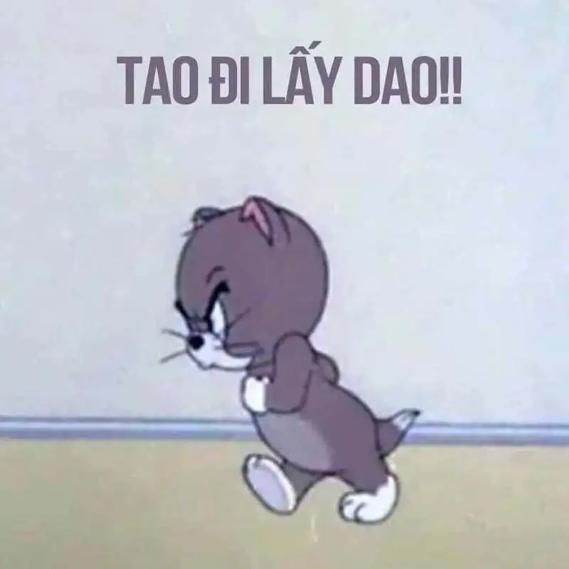 Meme mèo đấm nhau đáng yêu và hài hước