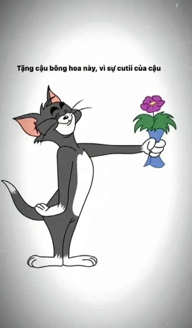 meme mèo tặng hoa hình ảnh con mèo dễ thương