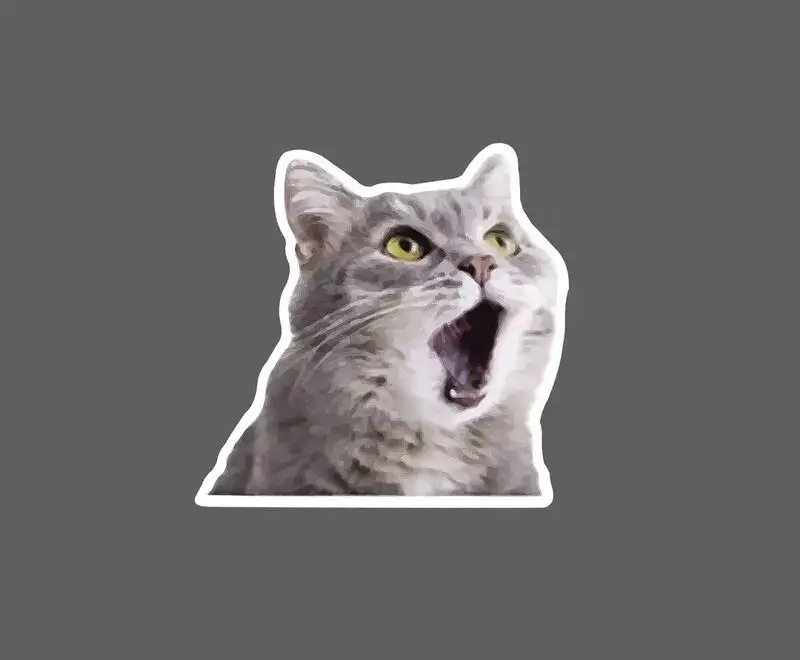 Meme ngạc nhiên khiến ai cũng cười meme bất ngờ