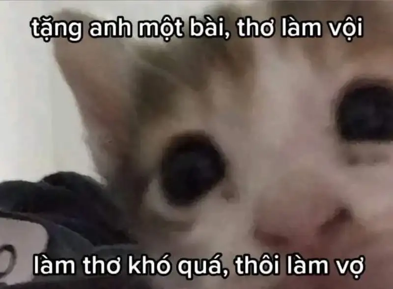 Ngập tràn cảm xúc với meme thả tim đáng yêu