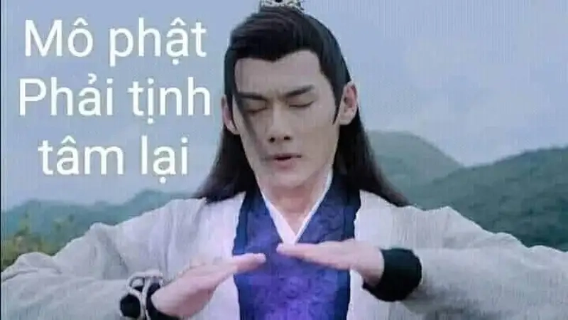 Tâm phải tịnh meme là phương pháp giải tỏa căng thẳng hiệu quả