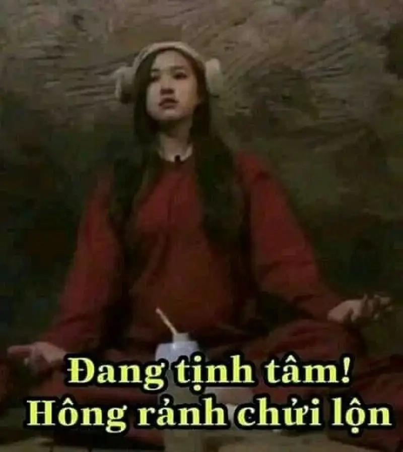 Meme tịnh tâm là món quà cho tâm hồn mỗi ngày