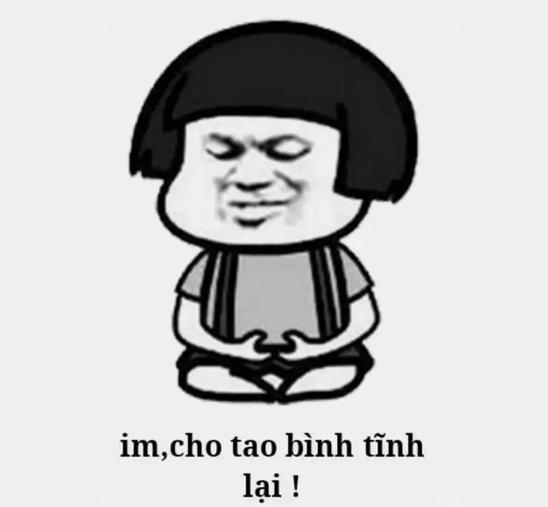 Meme tâm phải tịnh tạo động lực cho bạn mỗi ngày