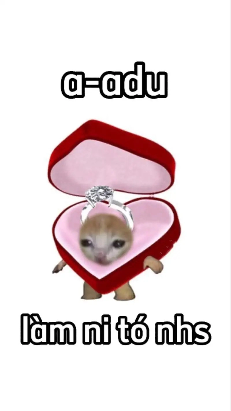 meme tỏ tình crush dễ thương làm tan chảy lòng