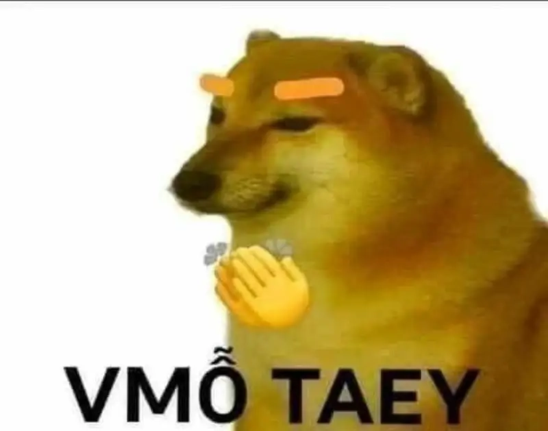 Cười vui với vỗ tay meme đáng yêu