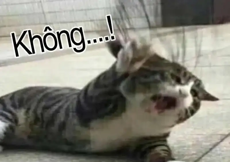 Khám phá hài hước qua ảnh meme ngất xỉu