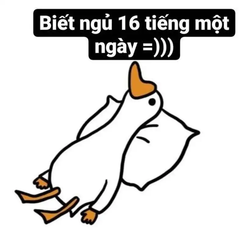 Giải trí cực mạnh với ảnh meme té xỉu